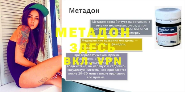 трава Корсаков