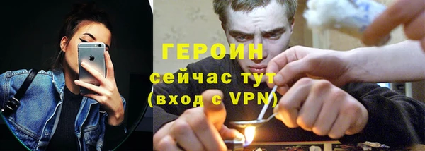 прущие грибы Костерёво