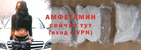 прущие грибы Костерёво