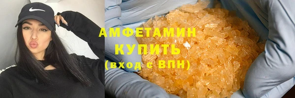 трава Корсаков