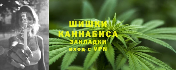 прущие грибы Костерёво