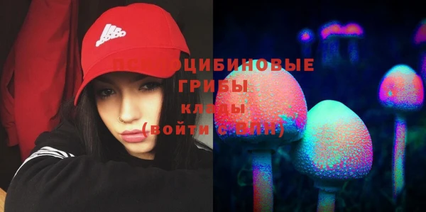 гидропоника Коряжма