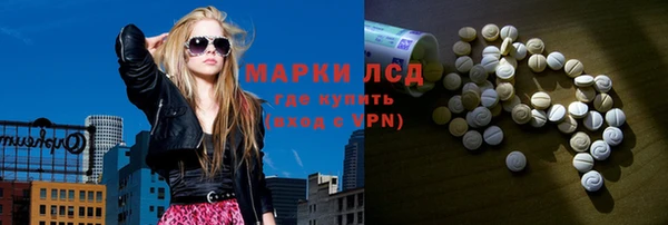 трава Корсаков