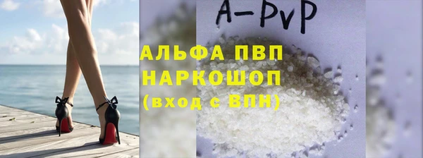 прущие грибы Костерёво