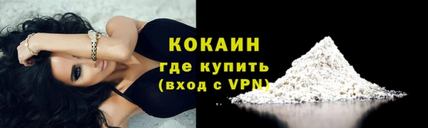 трава Корсаков