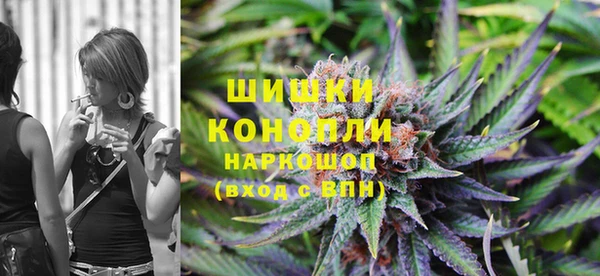 гидропоника Коряжма