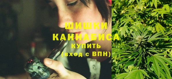 прущие грибы Костерёво