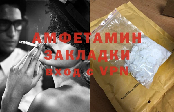 прущие грибы Костерёво