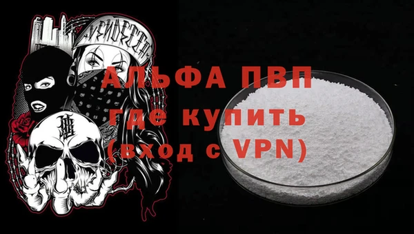 прущие грибы Костерёво