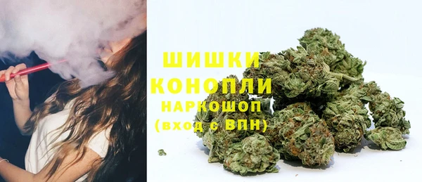 гидропоника Коряжма