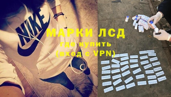 трава Корсаков