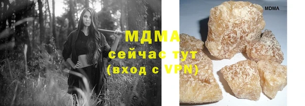 трава Корсаков