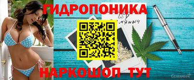 Альфа ПВП Камышлов