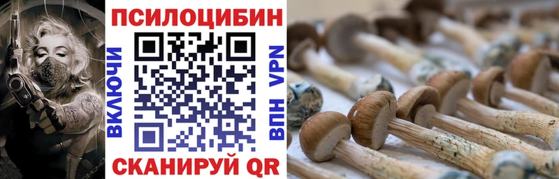 Галлюциногенные грибы Psilocybe Нижнекамск