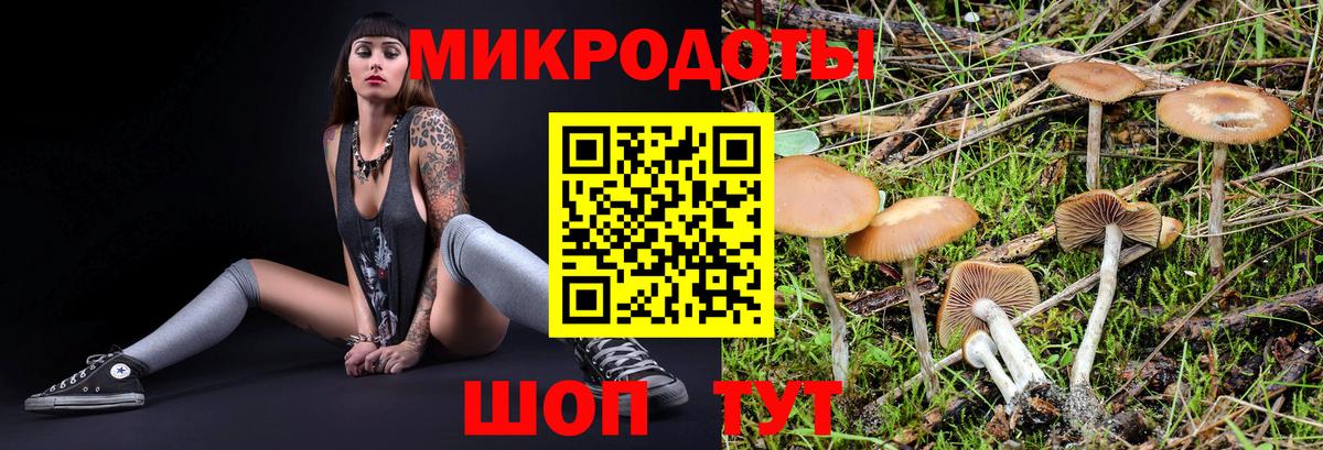 Галлюциногенные грибы Psilocybe  Вход с VPN  Нижнекамск 