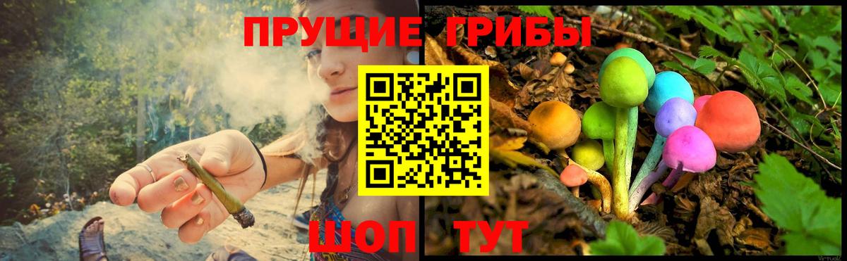Псилоцибиновые грибы Psilocybe Нижнекамск